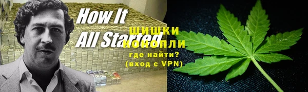 ГАЛЛЮЦИНОГЕННЫЕ ГРИБЫ Алзамай