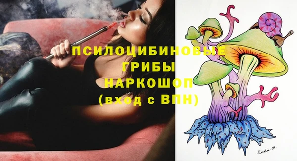 ГАЛЛЮЦИНОГЕННЫЕ ГРИБЫ Алзамай